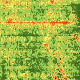 NDVI image - just one perspective for better insight.
